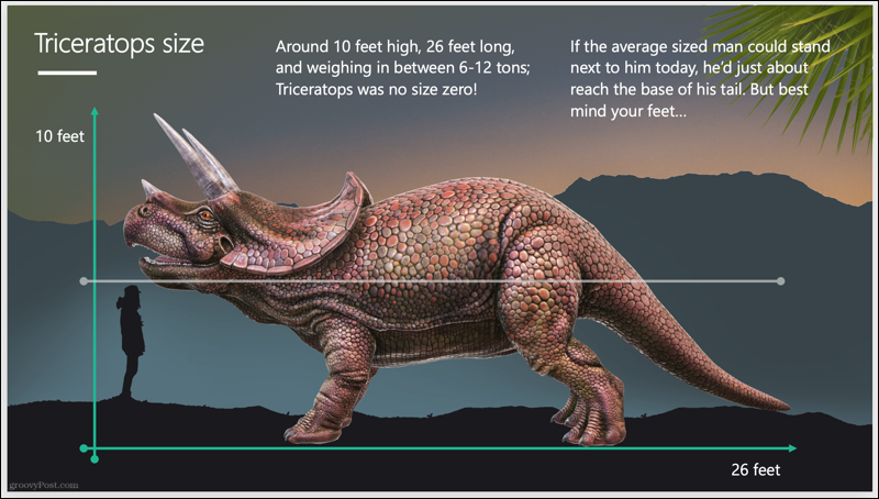 Triceratops Slayt Gösterisi
