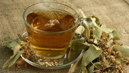 Ihlamurun faydaları nelerdir? Hangi hastalıklara iyi gelir? Ihlamur çayı nasıl yapılır?