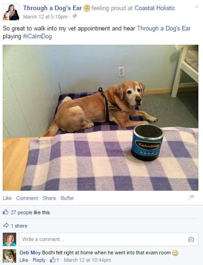 bir köpeğin kulağıyla facebook gönderisi