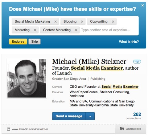 michael stelzner LinkedIn becerileri onayı