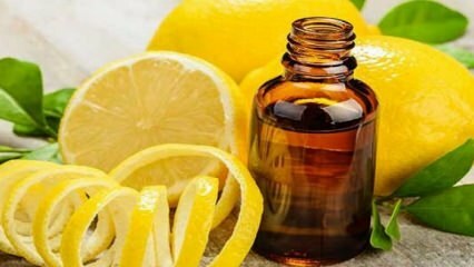 Evde limon kolonyası nasıl yapılır? 
