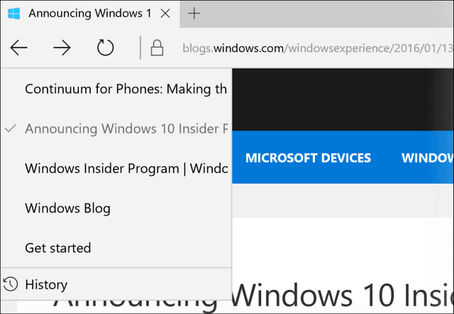 Microsoft Edge Histroy Görüntüle