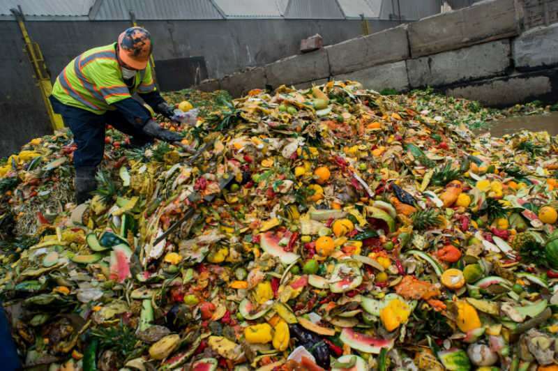 Her yıl 800 milyon insanı doyurabilecek kadar gıdayı çöpe atıyoruz!