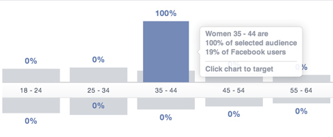 facebook kitle analizi yaş segmenti