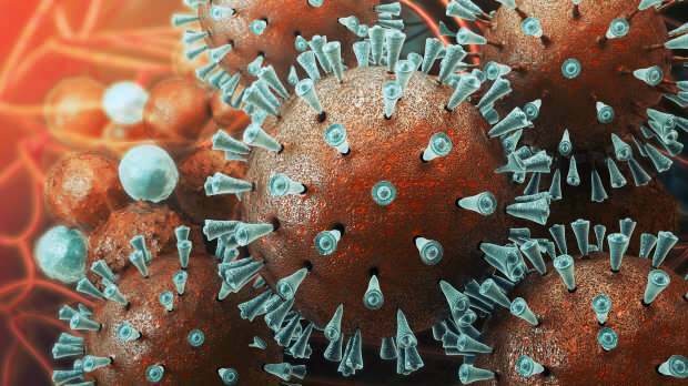 mers virüsü ilk kez 2003 yılında görüldü